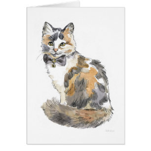 Fancy Calico Cat
