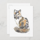 Fancy Calico Cat Briefkaart (Voorkant / Achterkant)