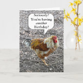 Fancy Chicken Happy Birthday Humor Kaart (Gele Bloem)