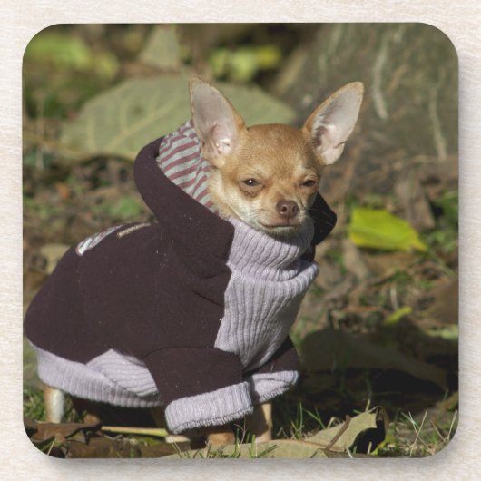 Fancy Chihuahua Drankjes Onderzetter (Voorkant)