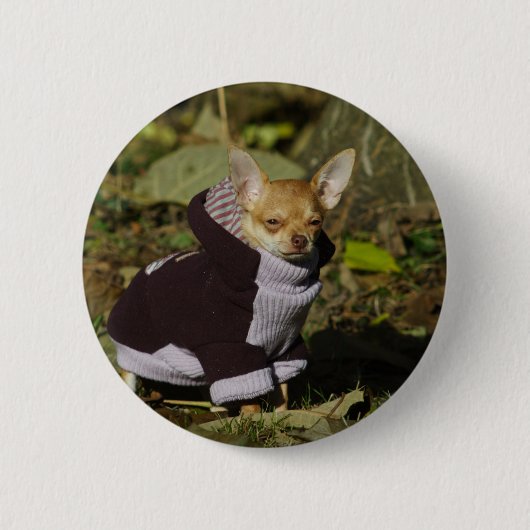 Fancy Chihuahua Ronde Button 5,7 Cm (Voorkant)