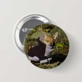 Fancy Chihuahua Ronde Button 5,7 Cm (Voorkant /achterkant)