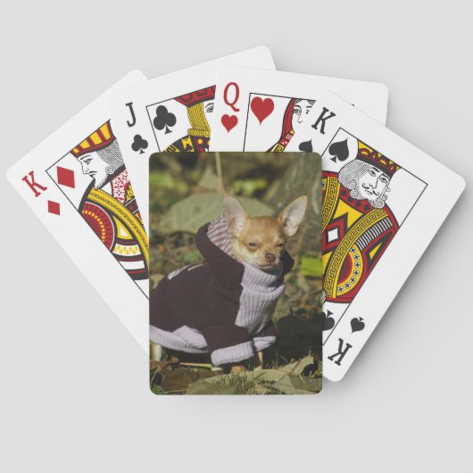 Fancy Chihuahua Speelkaarten (Achterkant)