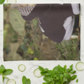 Fancy Chihuahua Theedoek (Gevouwen)