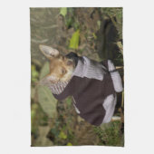 Fancy Chihuahua Theedoek (Verticaal)