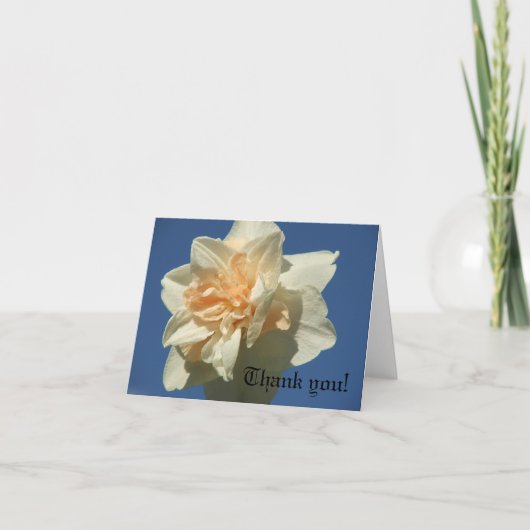 Fancy Daffodil Bedankkaart (Voorkant)