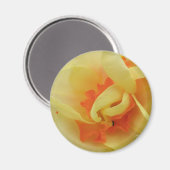 Fancy Daffodil Magnet (Voorkant / Achterkant)