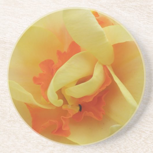 Fancy Daffodil-Onderzetters Zandsteen Onderzetter (Voorkant)