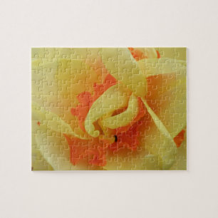 Fancy Daffodil Puzzle Legpuzzel