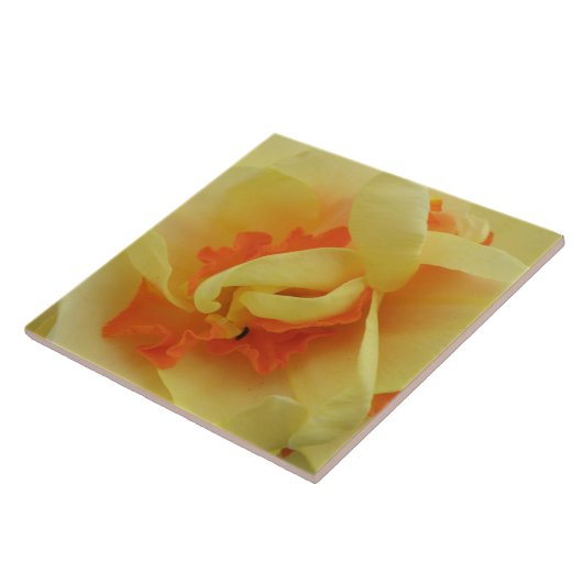 Fancy Daffodil Tile Tegeltje (Zijkant)