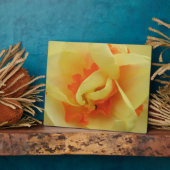 Fancy Daffodilplaque Fotoplaat (Zijkant)