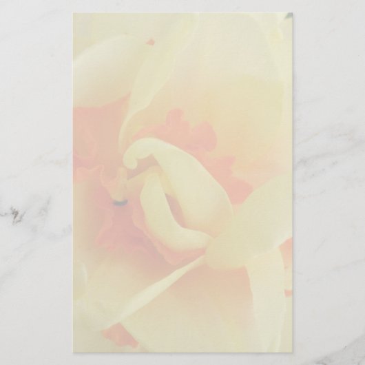 Fancy deffodil Stationery Briefpapier (Voorkant)