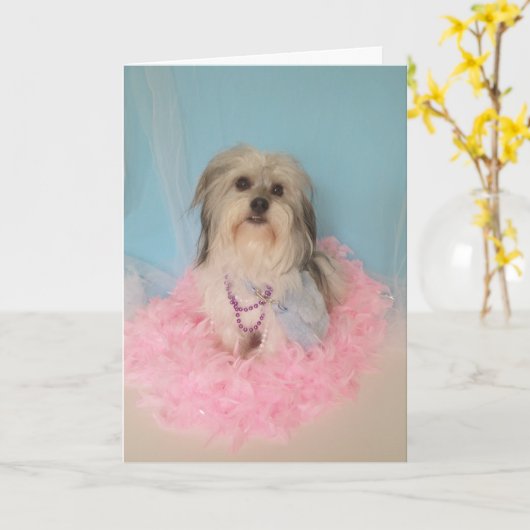 Fancy Dog Verjaardag Kaart (Gele Bloem)