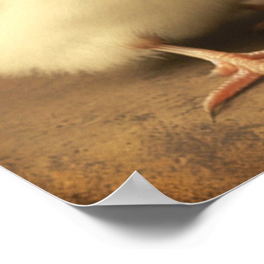 Fancy downloadbare kunst voor paasbakken poster (Hoek)