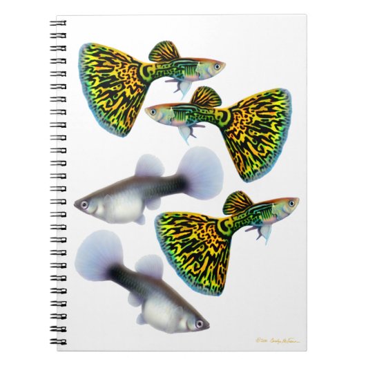 Fancy Fantail Guppies-laptop Notitieboek (Voorkant)
