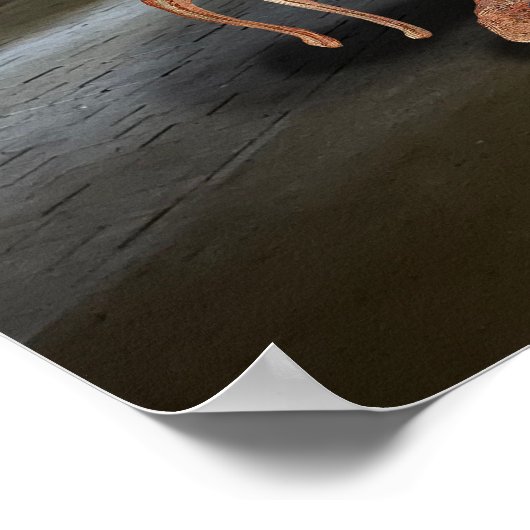 Fancy Feast Poster (Hoek)