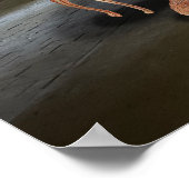 Fancy feest poster (Hoek)