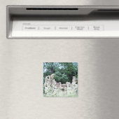 Fancy foto van Ancient Mayan Ruins Culture Ontworp Magneet (Insitu (Vaatwasser))