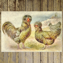 Fancy Frans Boerderij Houdan Chickens Faux Waterve