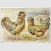Fancy Frans Boerderij Houdan Chickens Faux Waterve Tissuepapier (Voorkant)