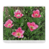 "FANCY FRILLS ROZE EN WITTE GERINGDE TULPEN/GLAS SNIJPLANK (Voorkant)