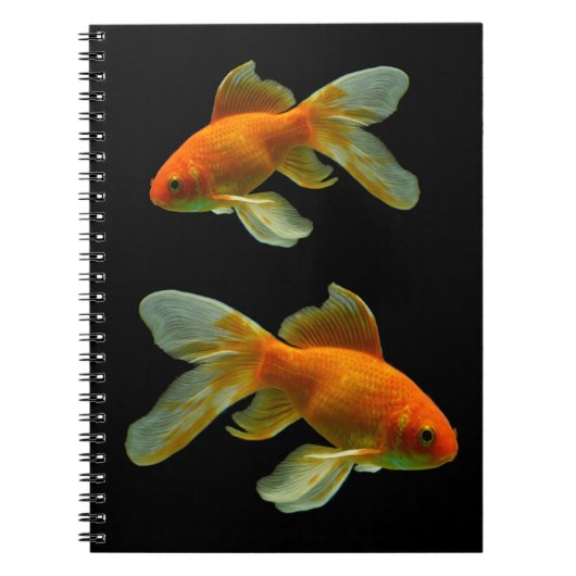 Fancy goudvis op zwart Notitieboek (Voorkant)