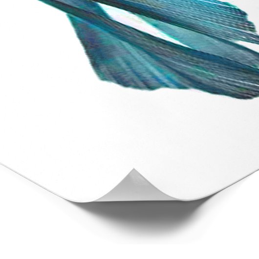 Fancy goudvis poster (Hoek)