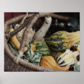 Fancy Gourds In Wicker Basket Photo Painting Poster (Voorkant)