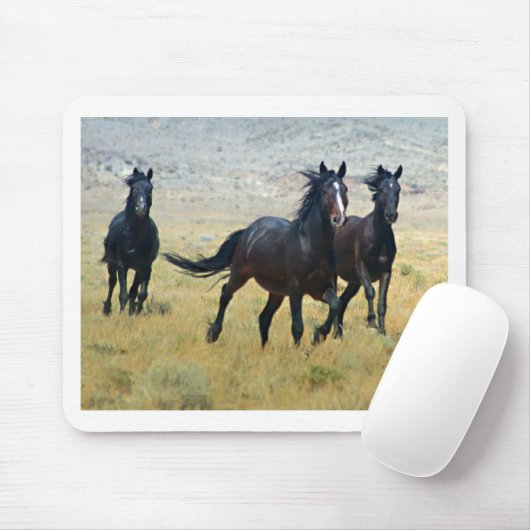 Fancy gratis muismat (Met muis)