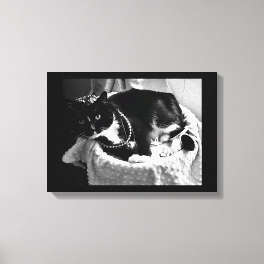 Fancy kat canvas afdruk (Voorkant)