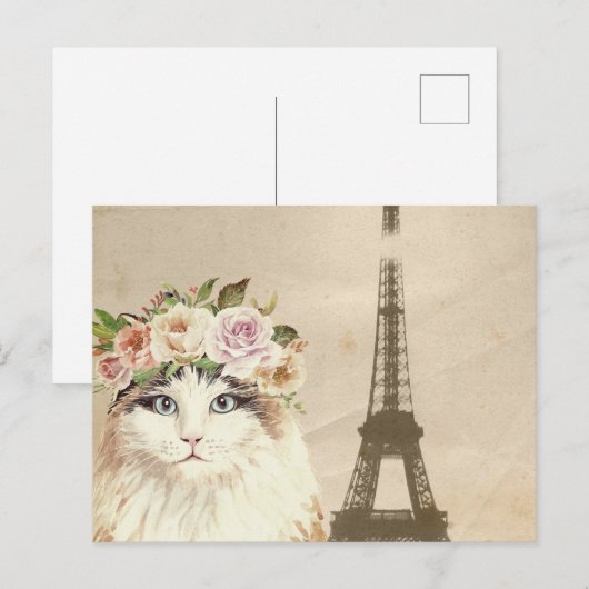 Fancy kat- en eiffeltoren briefkaart (Voorkant / Achterkant)