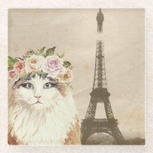 Fancy kat- en eiffeltoren