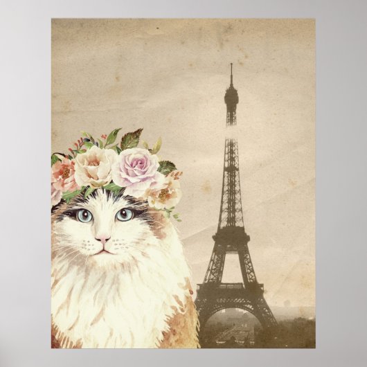Fancy kat- en eiffeltoren poster (Voorkant)
