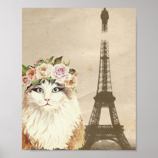 Fancy kat- en  Eiffeltoren Poster (Voorkant)
