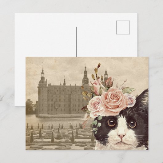 Fancy kat en het kasteel briefkaart (Voorkant / Achterkant)