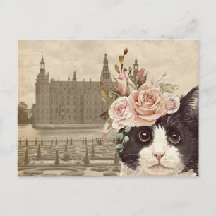 Fancy kat en het kasteel briefkaart