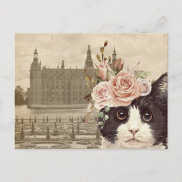 Fancy kat en het kasteel briefkaart