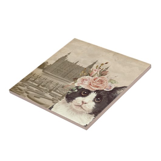 Fancy kat en het kasteel tegeltje (Zijkant)