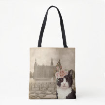 Fancy kat en het kasteel