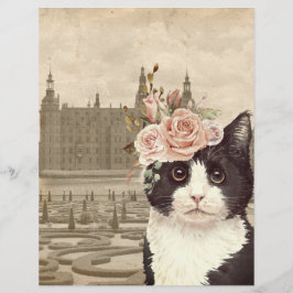 Fancy kat en karton