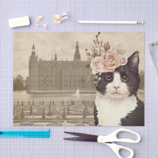 Fancy kat en kasteel tissuepapier (Craft)