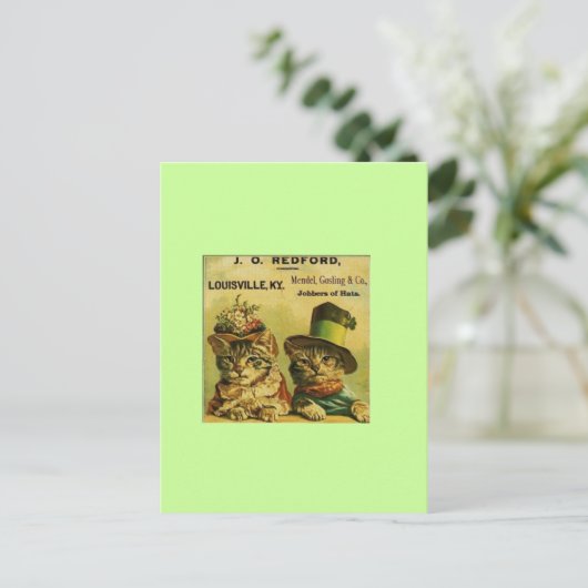 Fancy katten briefkaart (Staand voorkant)