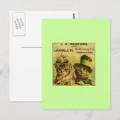 Fancy katten briefkaart (Voorkant / Achterkant)