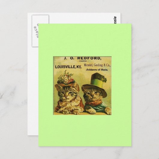 Fancy katten briefkaart (Voorkant / Achterkant)