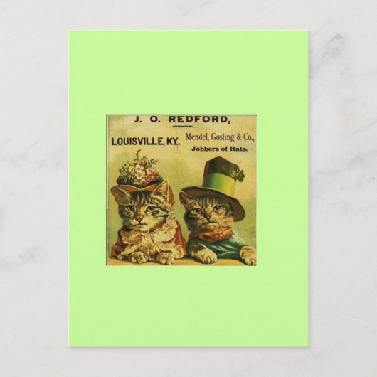 Fancy katten briefkaart (Voorkant)