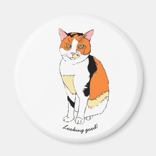 Fancy kattenmagneet magneet (Voorkant)