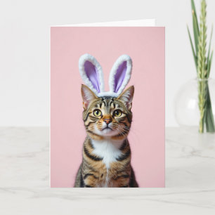 Fancy Kattenvriendenkaart Kaart