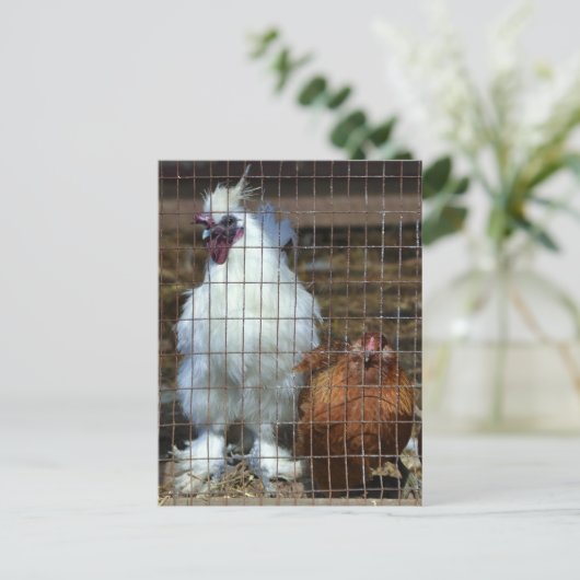 Fancy kippen briefkaart (Staand voorkant)