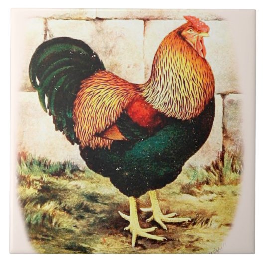 Fancy landkeukenrooster voor decoratieve wandtapij tegeltje (Voorkant)