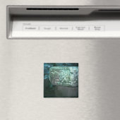 Fancy Mayan Ruins Photo Ontworpen koelkast Magneet (Insitu (Vaatwasser))